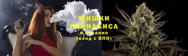 твердый Гусиноозёрск