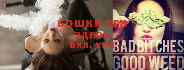 ALPHA PVP Гусев