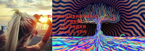 ALPHA PVP Гусев