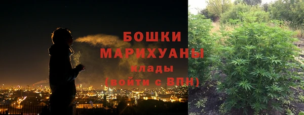 ALPHA PVP Гусев